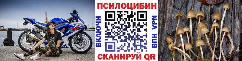 Купить где  Судогда  Псилоцибиновые грибы мицелий 